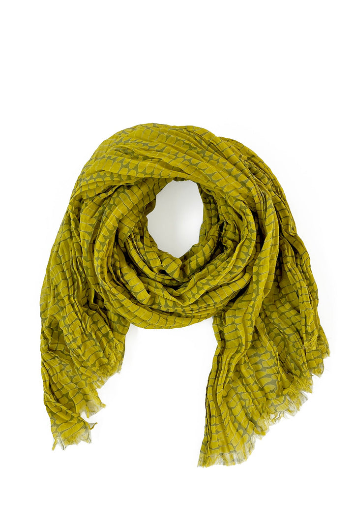 Cotton Scarf in Green