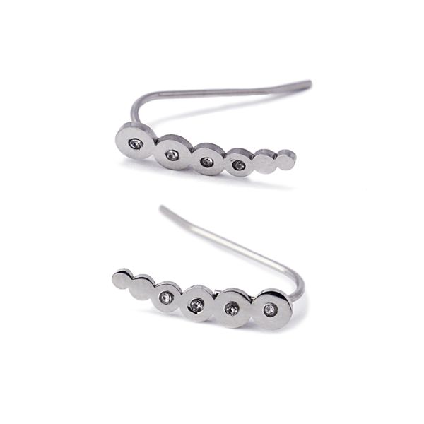CZ Crystal & Sterling Silver Plated Earrings