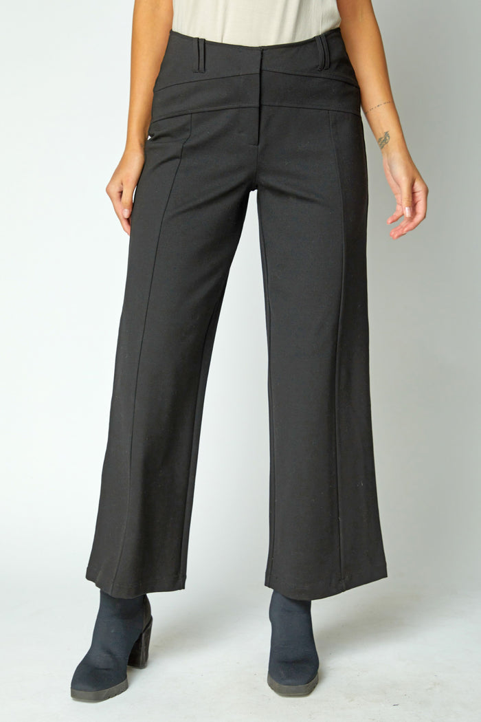 Urban Ponte Pants in Black