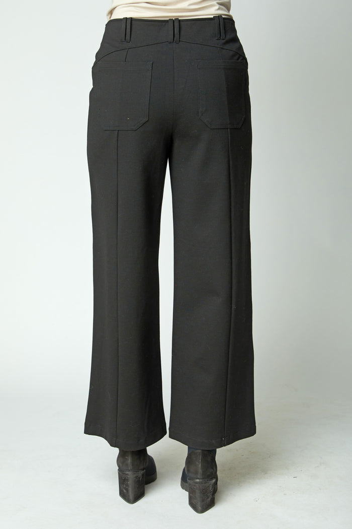 Urban Ponte Pants in Black