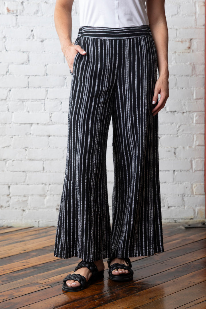 Retro Stripe Ankle Pants in Black