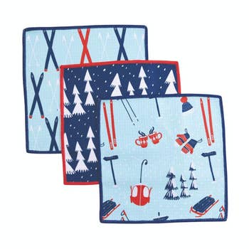 Nordic Sports Dish Cloths - Set of 3