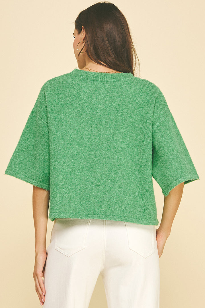 Button Down Short Sleeve Sweater in Green