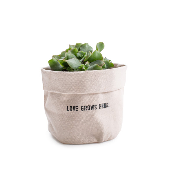 Small Canvas Planter - Love Grows Here