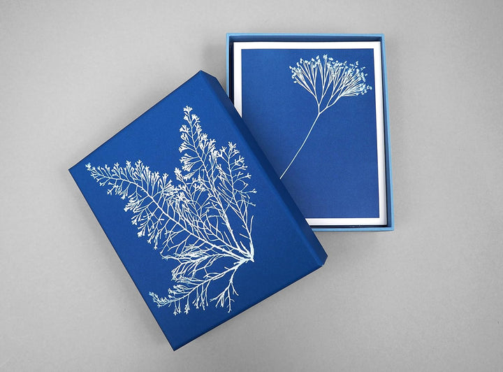 Sunprint Note Cards