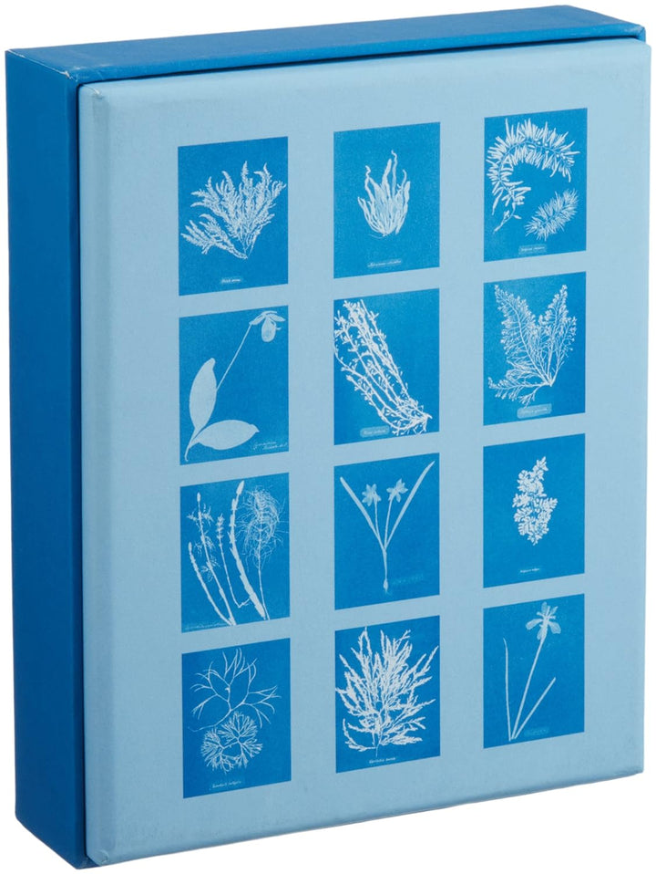 Sunprint Note Cards