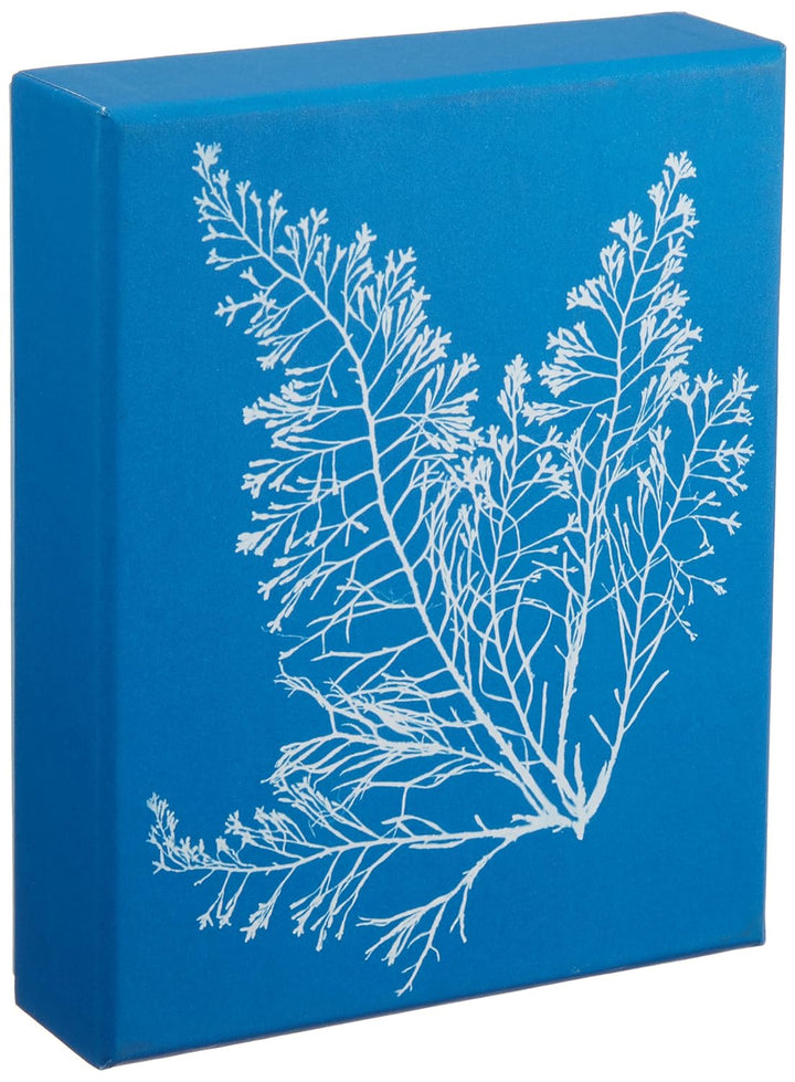 Sunprint Note Cards