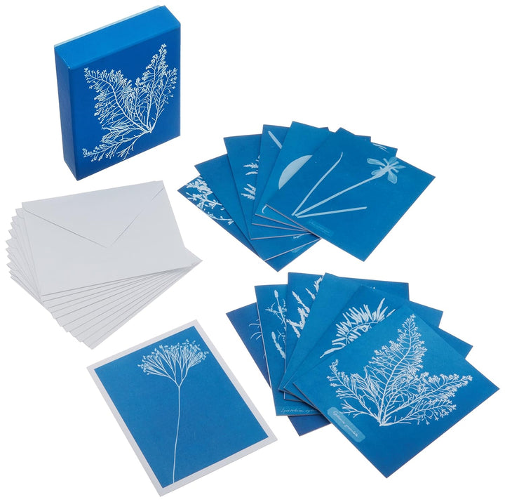 Sunprint Note Cards
