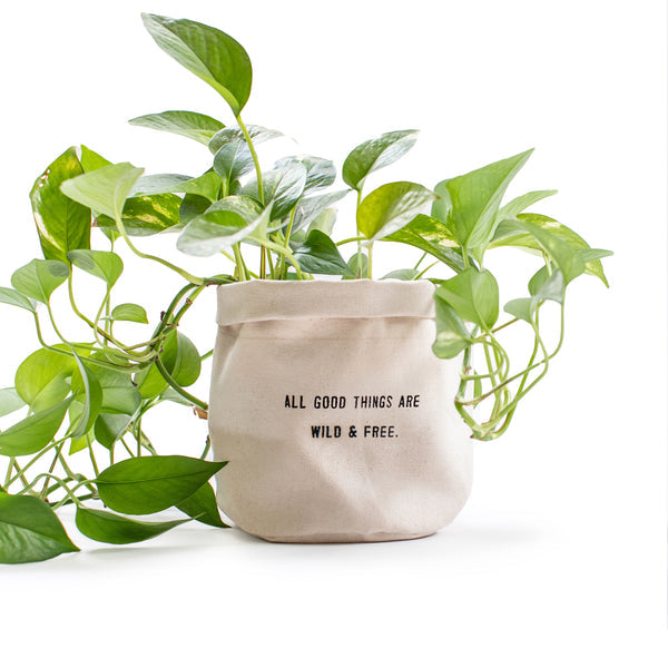 Large Canvas Planter - All Good Things Are Wild And Free