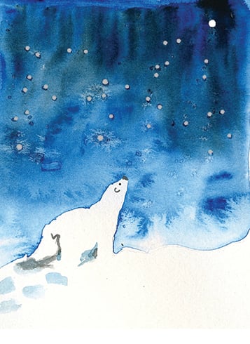 Polar Starry Night Card Pack