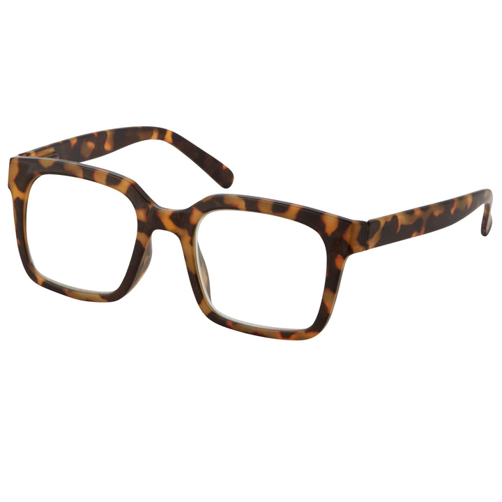 Readers Houston-Tortoise