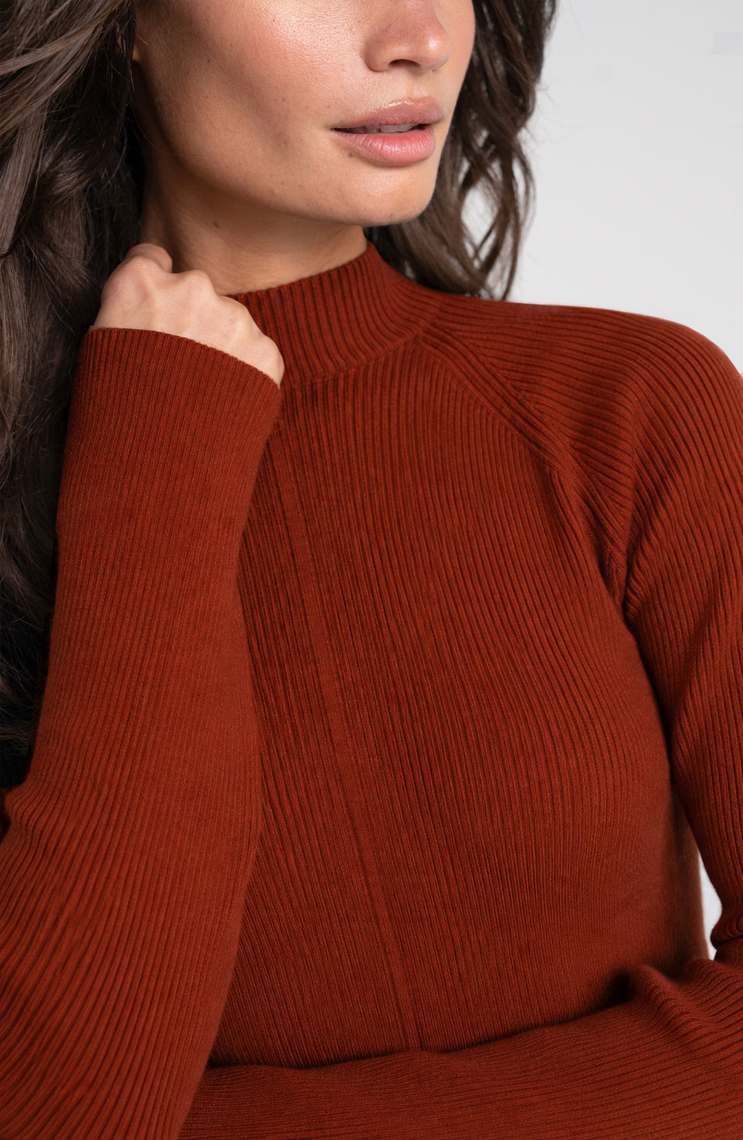 Long Sleeve Turtleneck Sweater in Auburn Rust