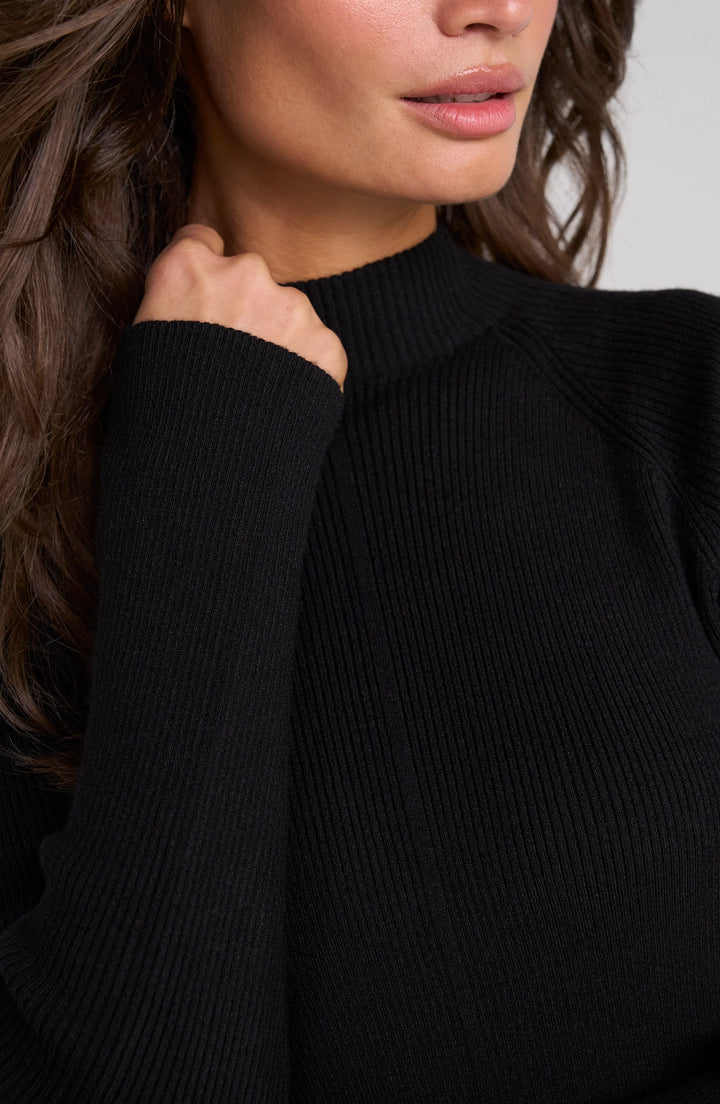 Long Sleeve Turtleneck Sweater in Black