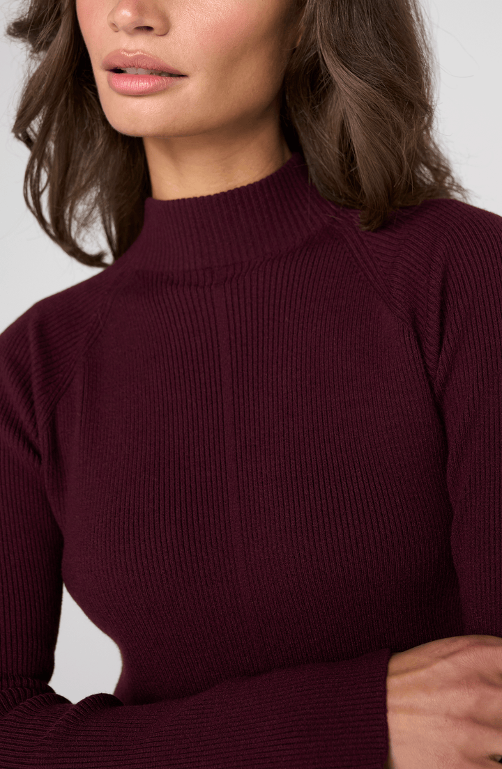 Long Sleeve Turtleneck Sweater in Dark Oxblood