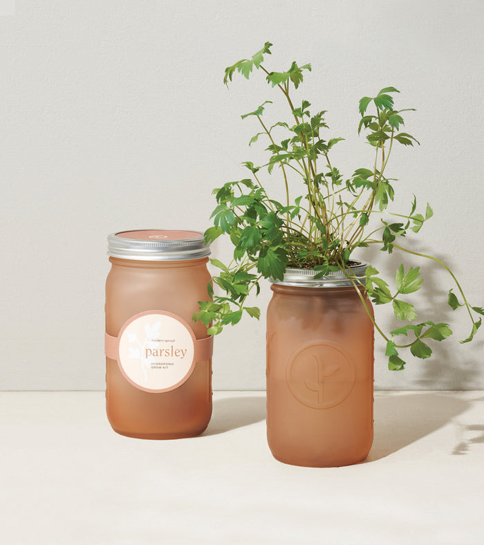 Parsley Garden Jar