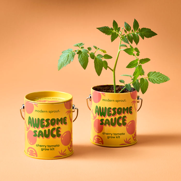 Awesome Sauce - Cherry Tomato Grow Kit