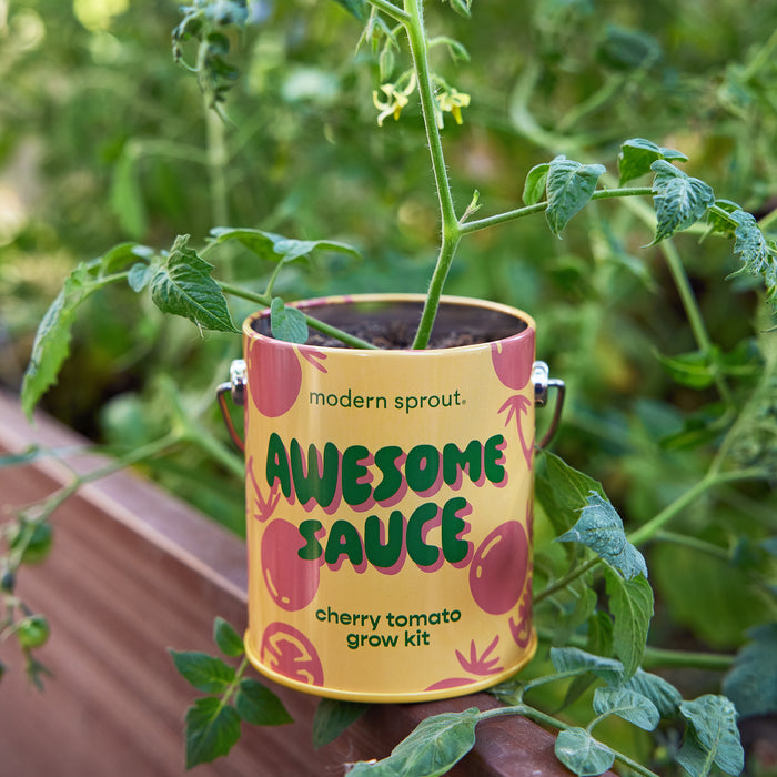 Awesome Sauce - Cherry Tomato Grow Kit