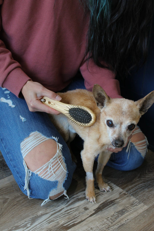 Bamboo Pet Brush - Small