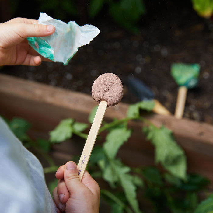 Culinary Seed Pops