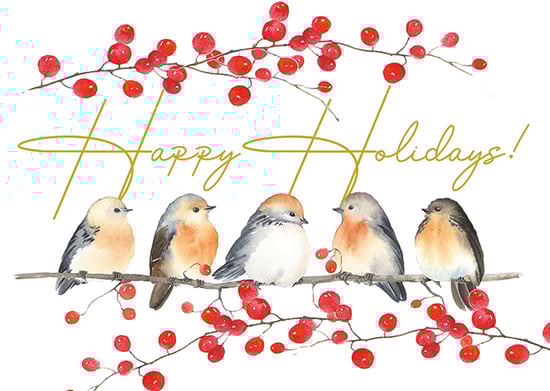 Bird Friends Card Pack