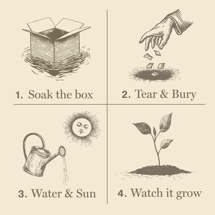 Sweet Sunflower Candle - Plant the Box
