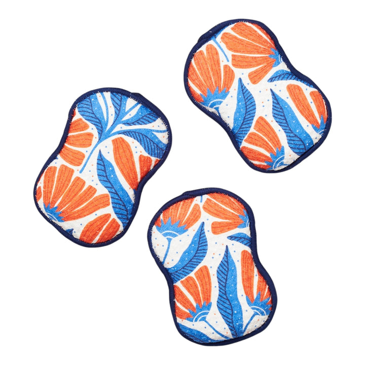 Reusable Sponges Set - Nancy Splatter