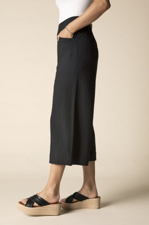 Crinkle Crepe Solid Aria Capri in Black