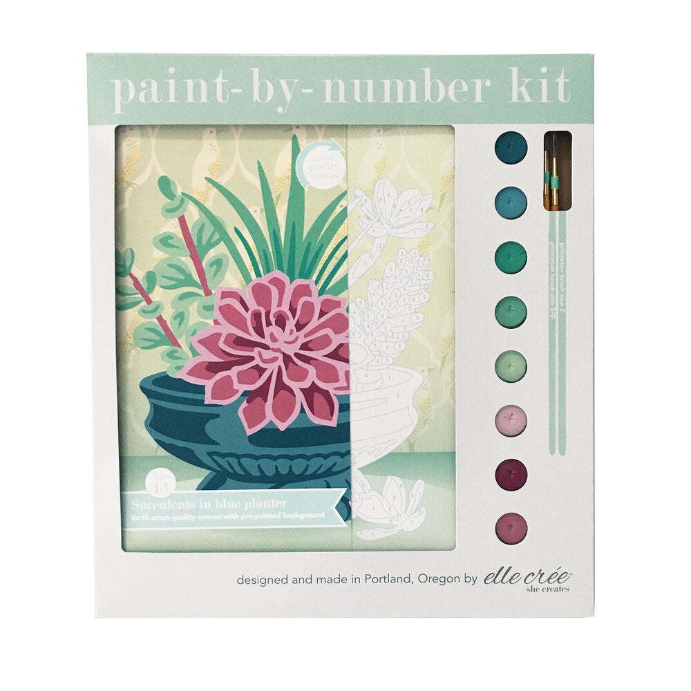 Paint by Number Succulent in Blue Planter