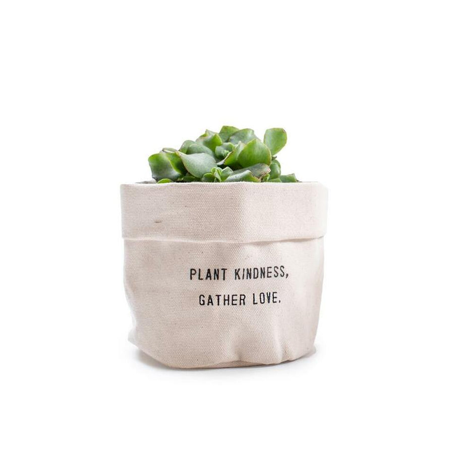 Small Canvas Planter - Plant Kindness Gather Love