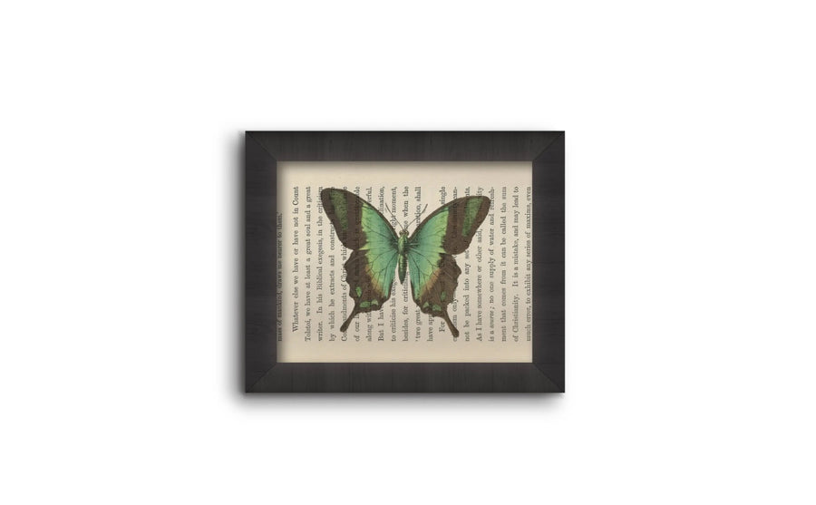 Green Butterfly 5x7 Art Print