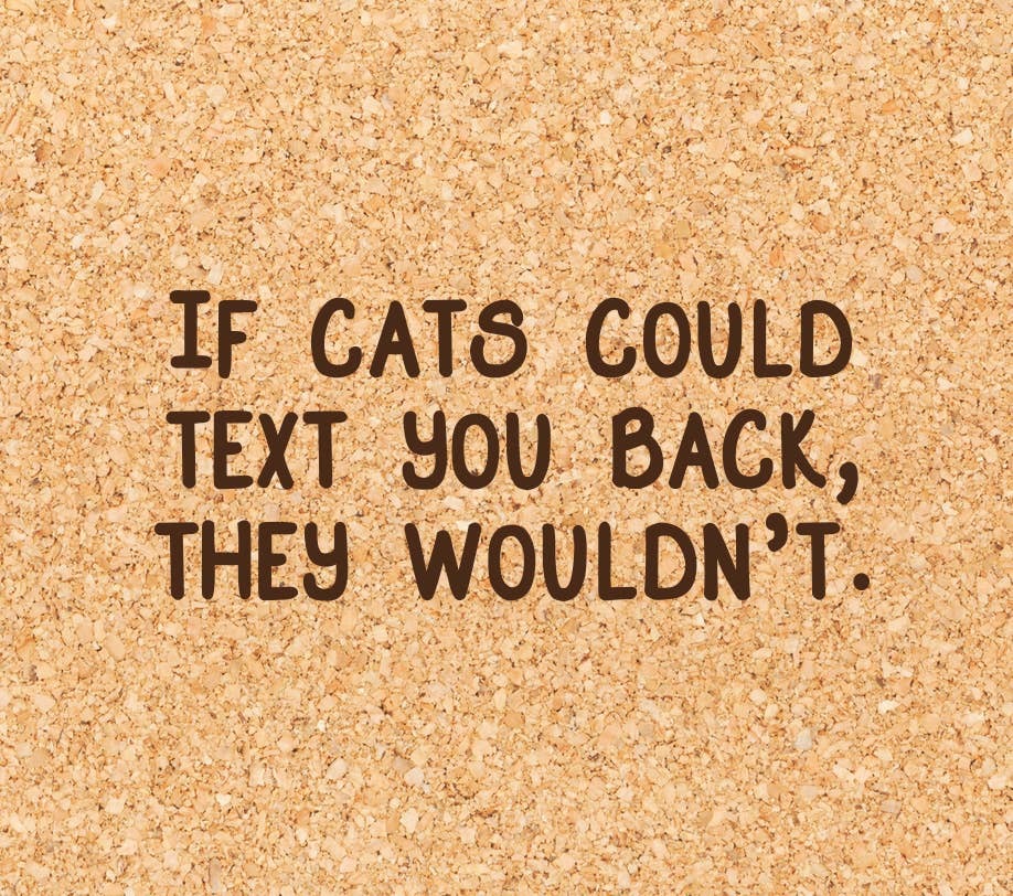 Texting Cats Funny Cork Coaster