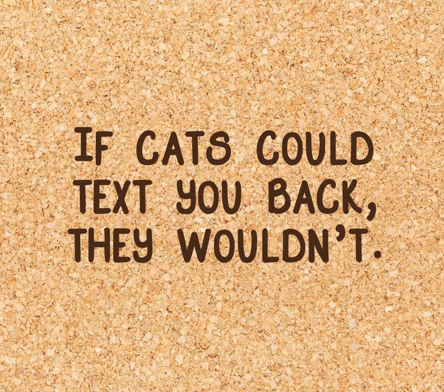 Texting Cats Funny Cork Coaster