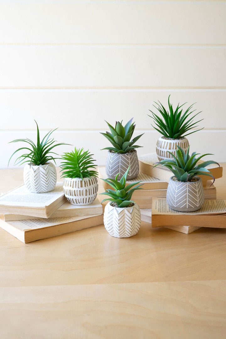 Artificial Succulents in Cement Pot