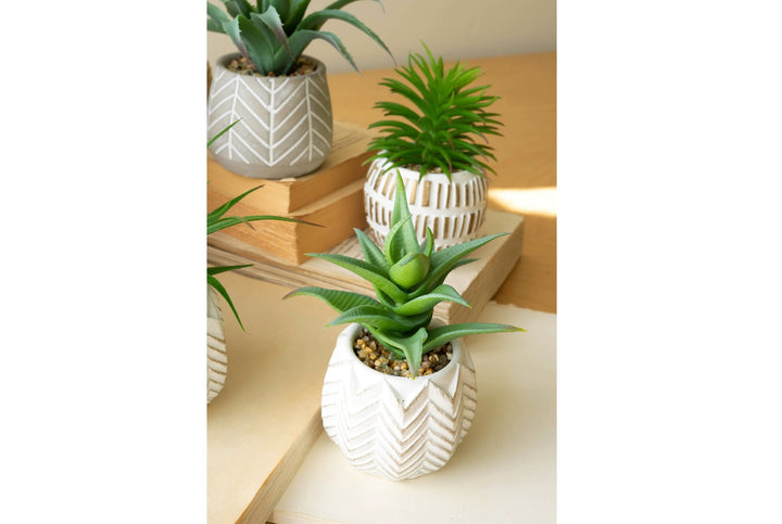 Artificial Succulents in Cement Pot
