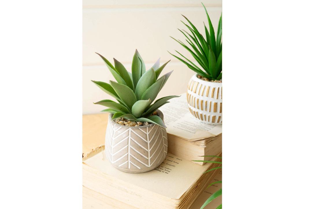 Artificial Succulents in Cement Pot