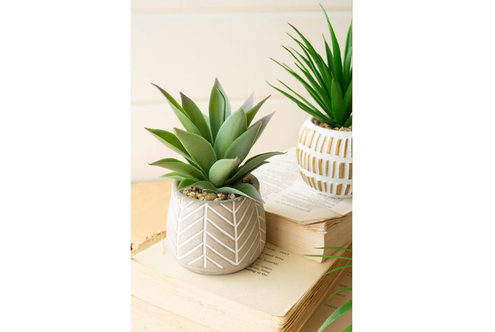 Artificial Succulents in Cement Pot