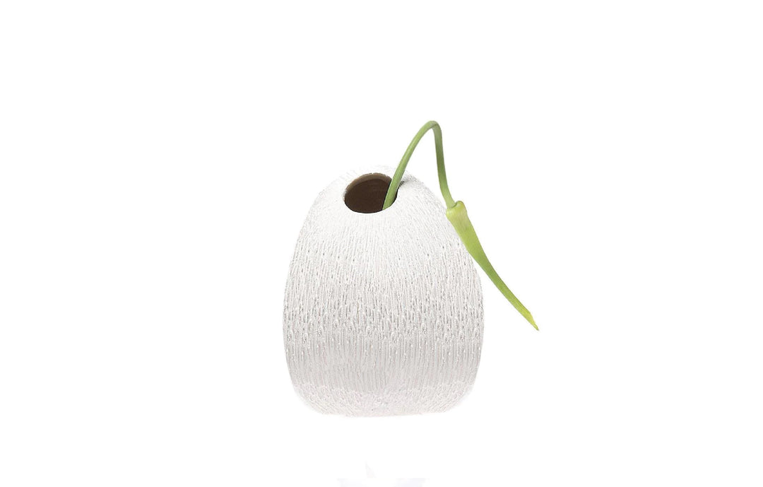 Terrarium Koski