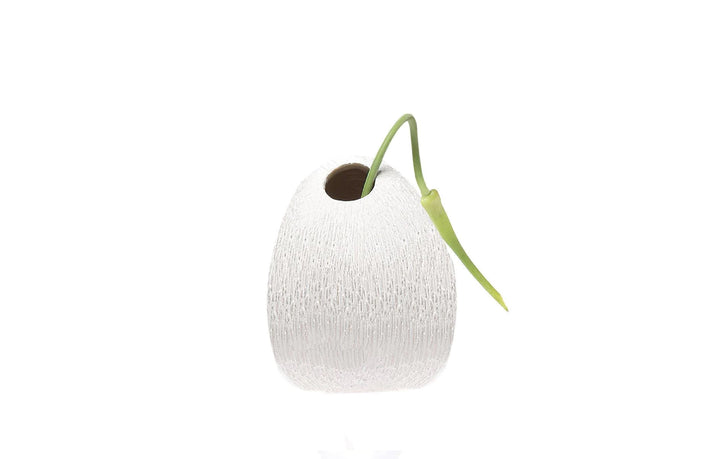 Terrarium Koski
