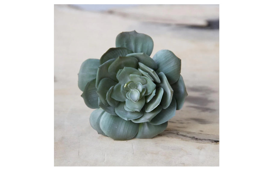 Medium Faux Succulents