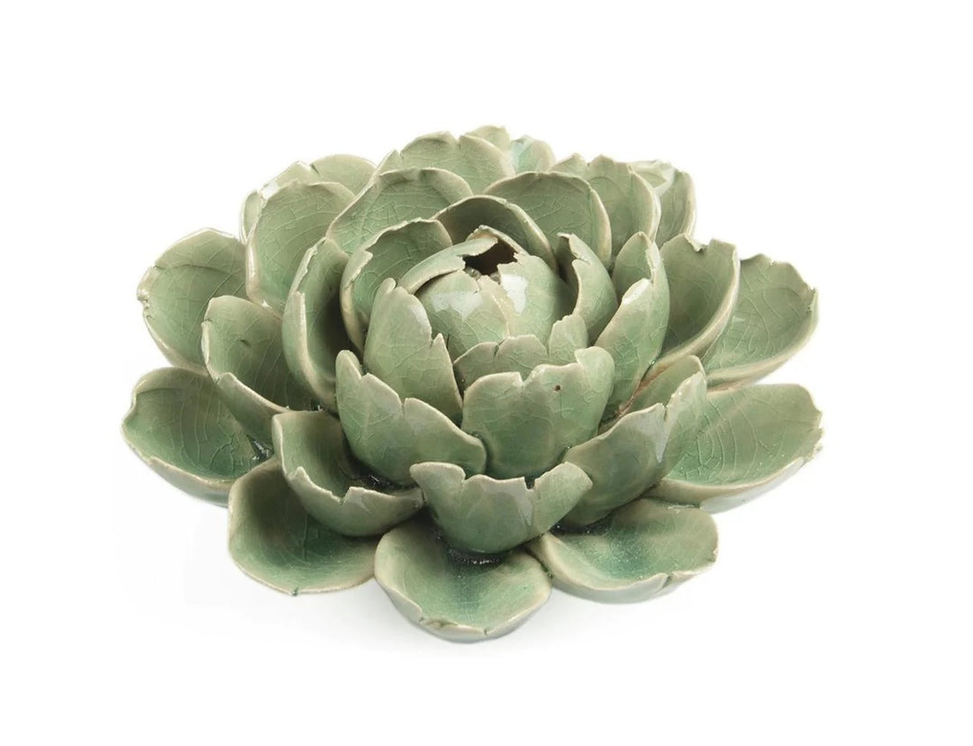 Large Ceramic Succulent in Mint Green