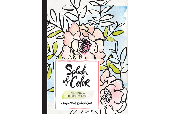 Splash of Color Painting & Coloring Book