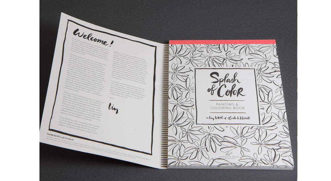 Splash of Color Painting & Coloring Book