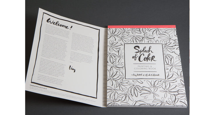 Splash of Color Painting & Coloring Book